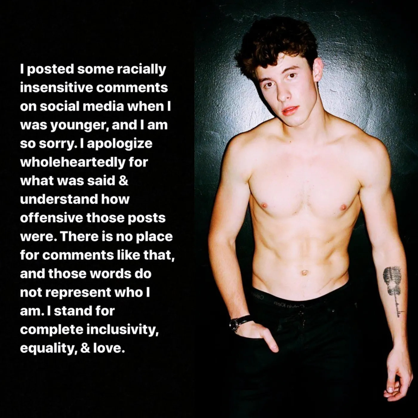 Shawn Mendes' Decision to Openly Discuss His Sexual Orientation: The Hidden Factor