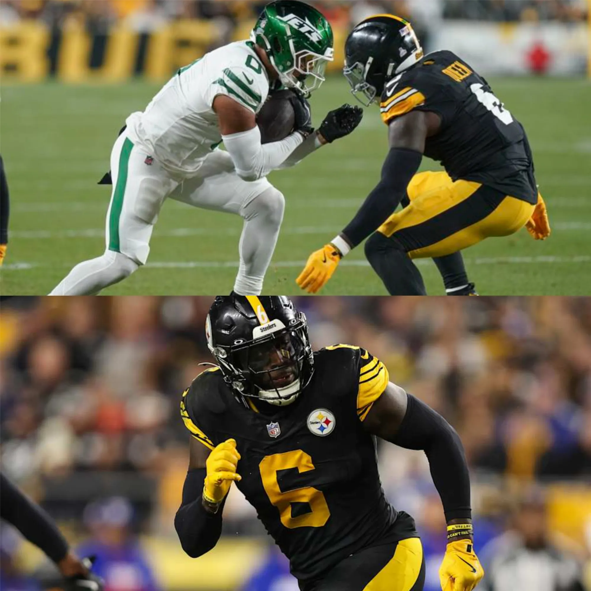 Unwanted by the Ravens, Embraced by the Steelers: Patrick Queen’s Story 2 Unwanted by the Ravens, Embraced by the Steelers: Patrick Queen’s Story