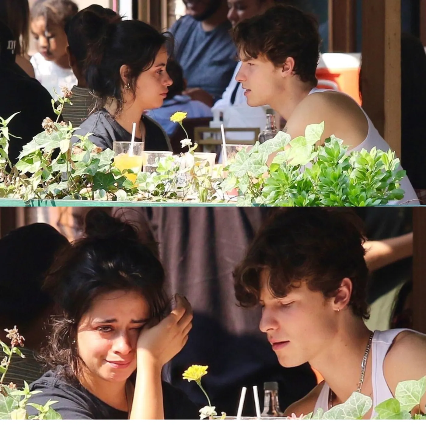 Shawn Mendes Devastated by New Boyfriend’s Betrayal After Breakup with Camila Cabello