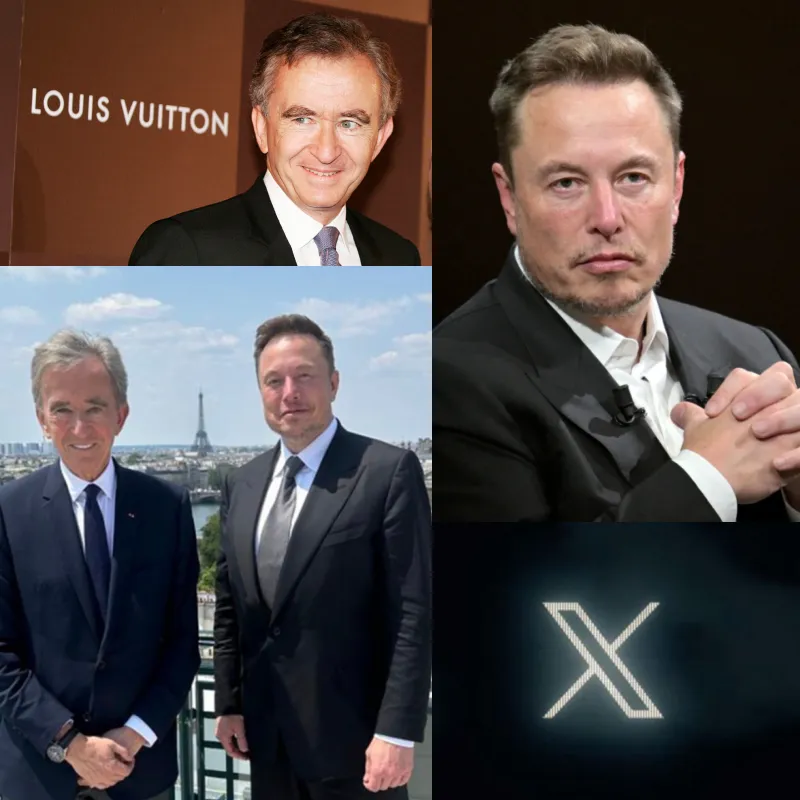 Why Billionaire Bernard Arnault Is Suing Elon Musk ?