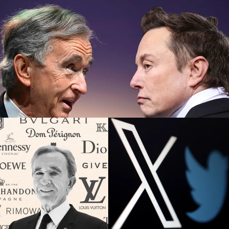 Why Billionaire Bernard Arnault Is Suing Elon Musk ?