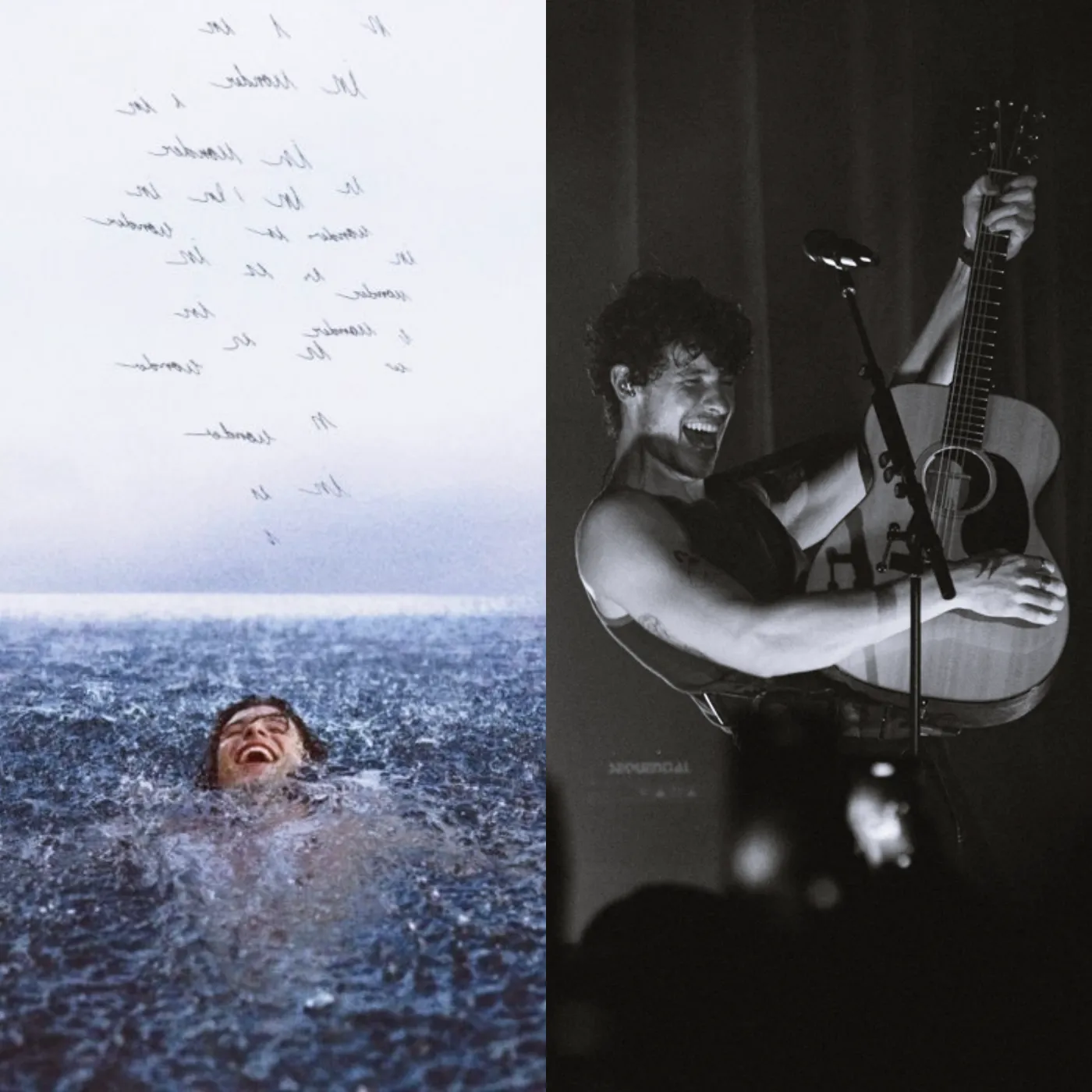 What is the reason behind Cabello's "disappears" from social media?