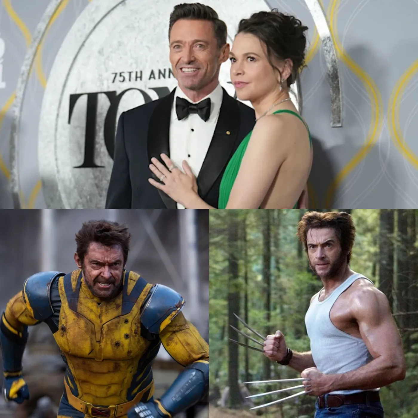 Hugh Jackman's Alleged Affair and Divorce: The Hidden Story