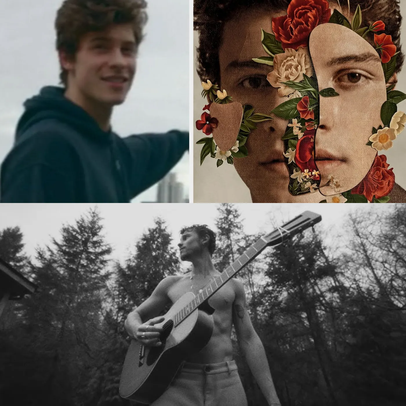 Shawn Mendes' New Album "Shawn" – The Shocking Truth Behind the Drama