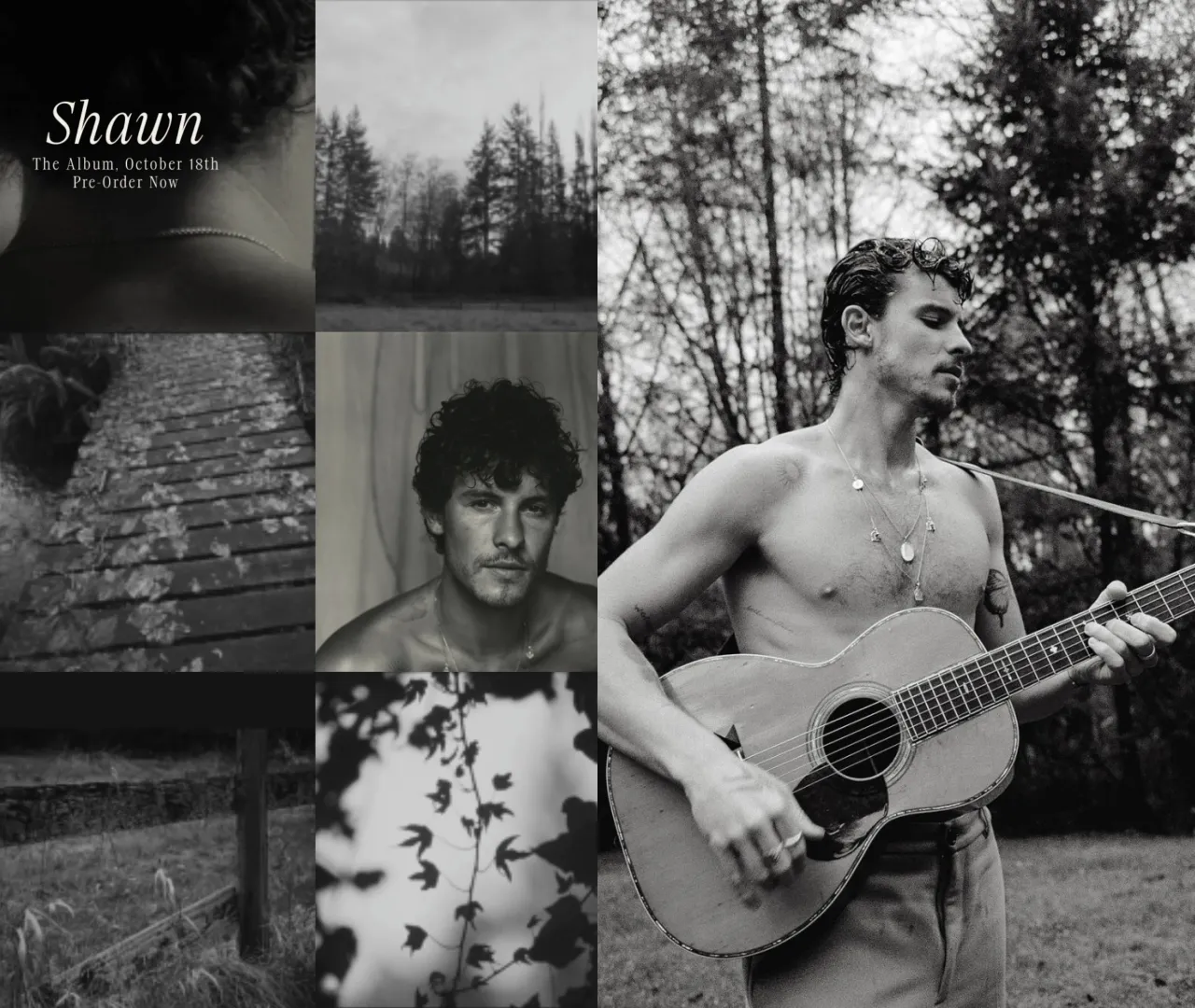 Shawn Mendes - New Album or Just a Way to Hide a Revealed Love Affair?