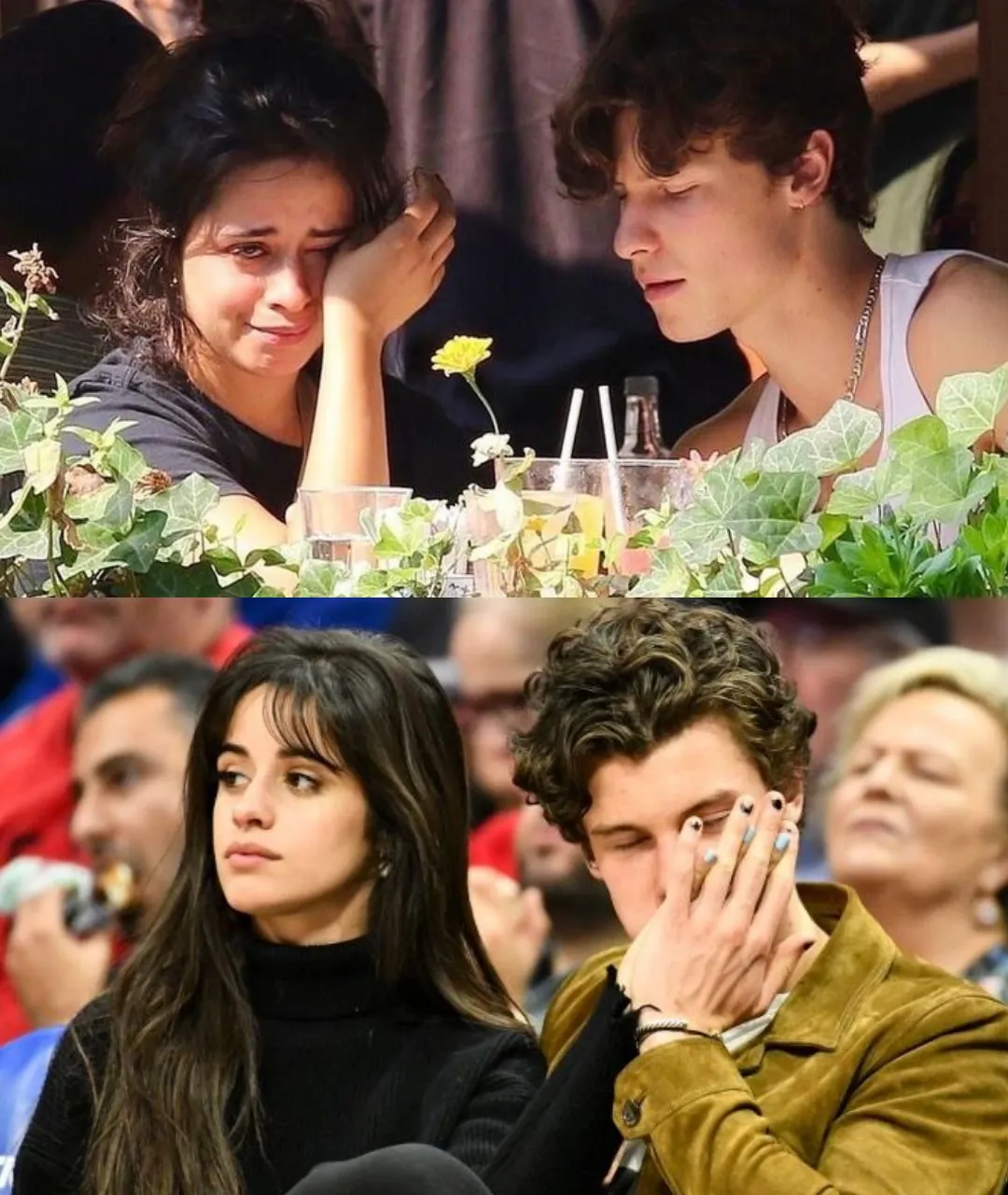 Shawn Mendes - New Album or Just a Way to Hide a Revealed Love Affair?