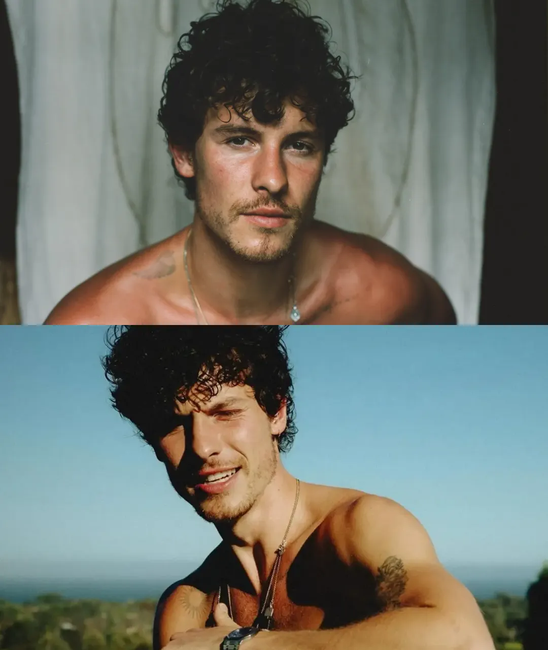 Shawn Mendes - New Album or Just a Way to Hide a Revealed Love Affair?