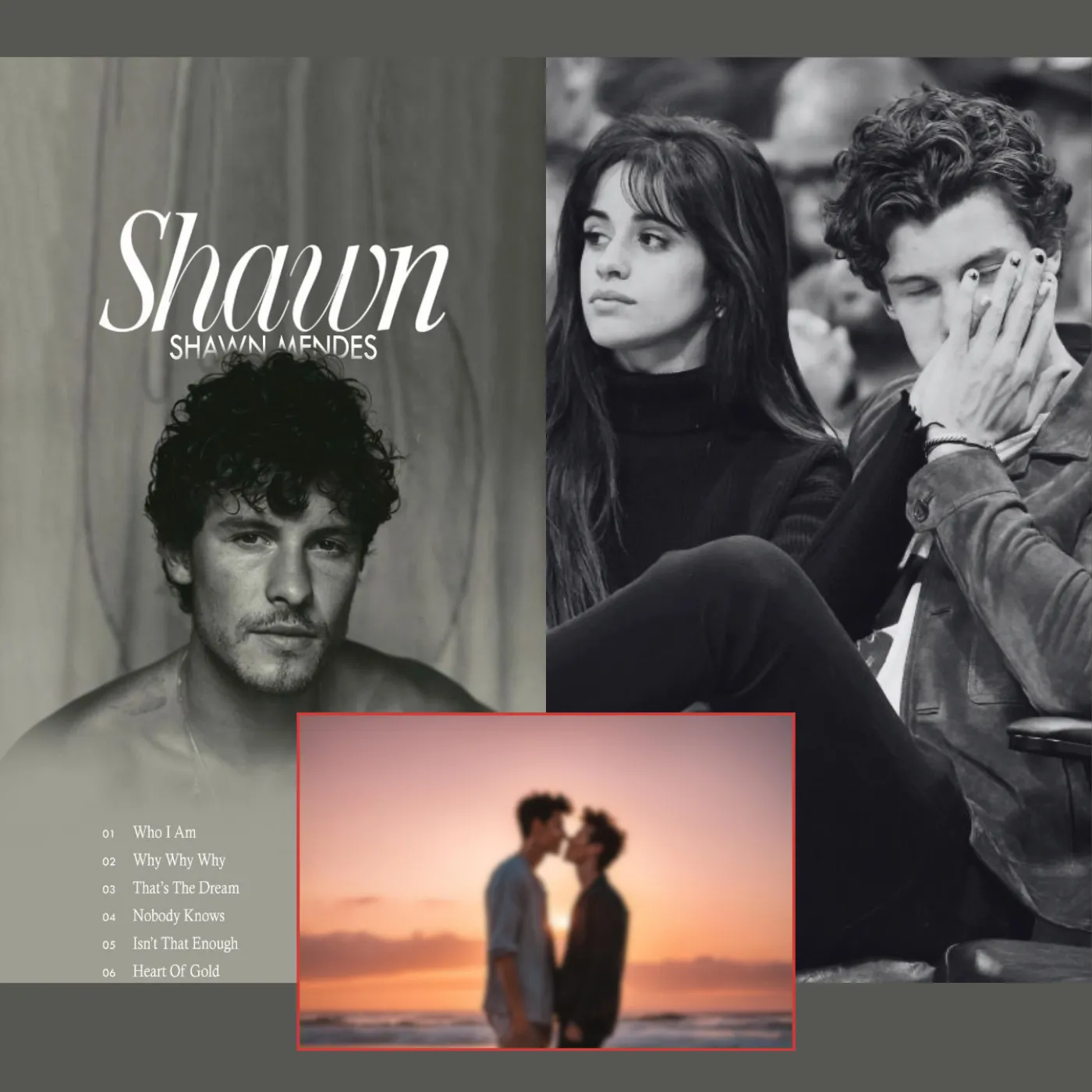 Shawn Mendes - New Album or Just a Way to Hide a Revealed Love Affair?