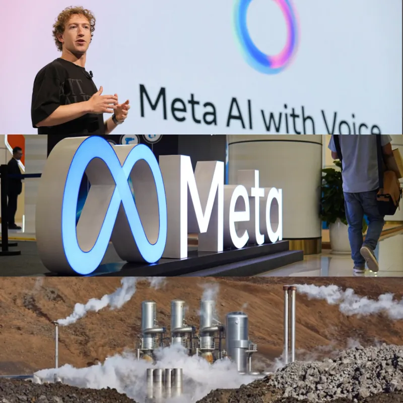 Rare Bee Species Halts Zuckerberg’s AI Data Center Plans