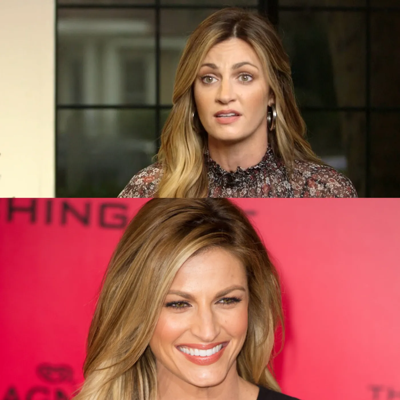 Erin Andrews and the eyebrows