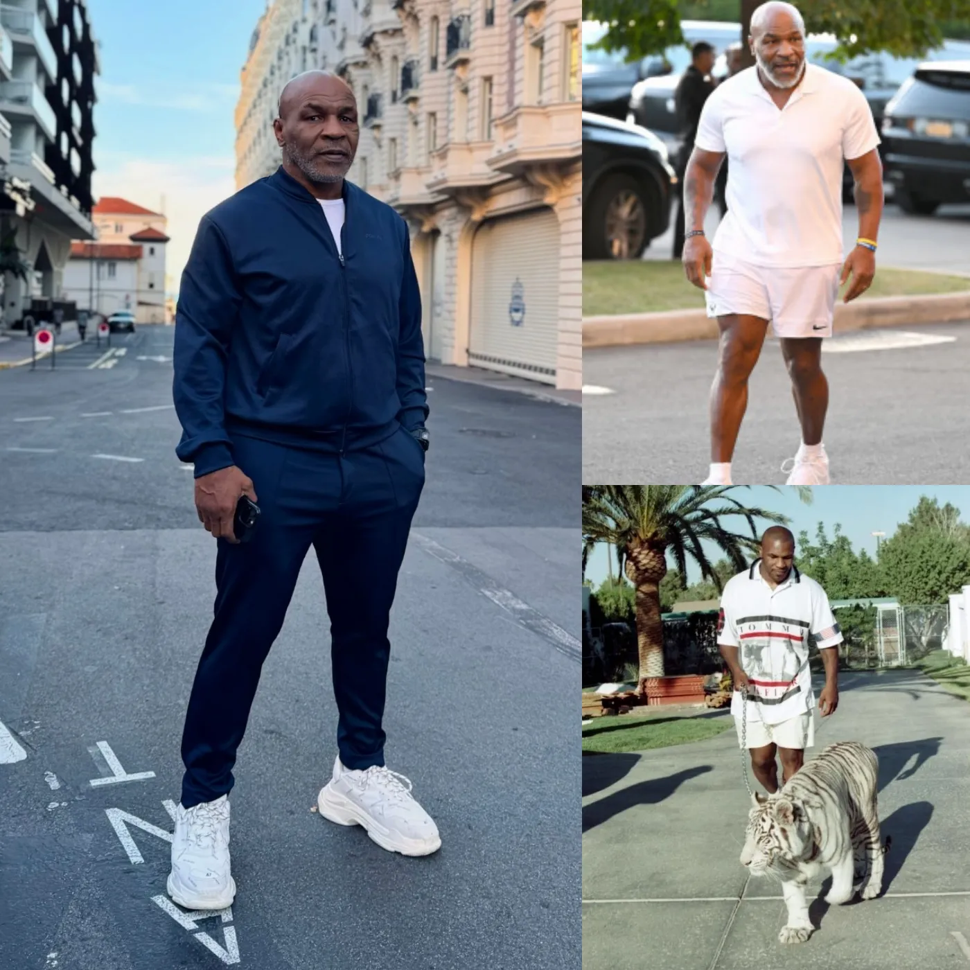 From “King of Boxing” To The Brink of Bankruptcy - The Tragic Story of Mike Tyson 2 From “King of Boxing” To The Brink of Bankruptcy - The Tragic Story of Mike Tyson