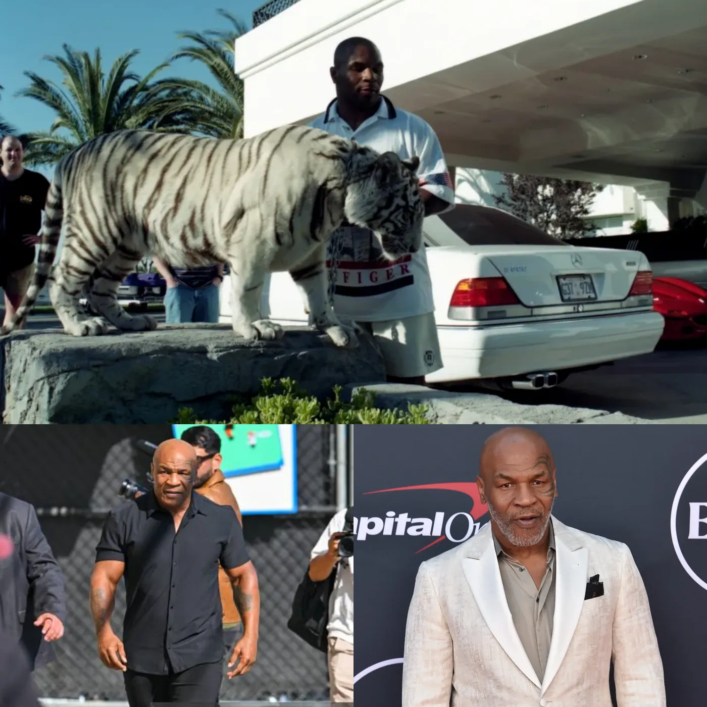 From “King of Boxing” To The Brink of Bankruptcy - The Tragic Story of Mike Tyson 3 From “King of Boxing” To The Brink of Bankruptcy - The Tragic Story of Mike Tyson