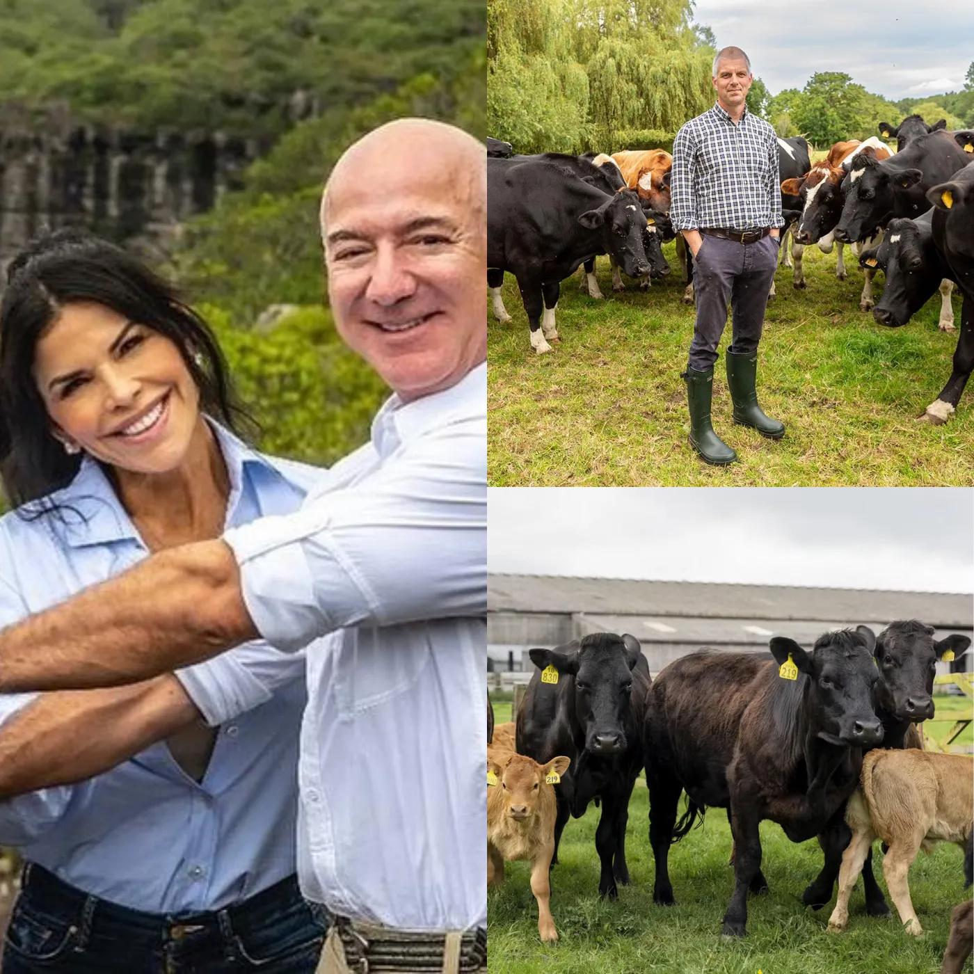 Jeff Bezos, A Paradox of Wealth and Sustainability 3 Jeff Bezos, A Paradox of Wealth and Sustainability