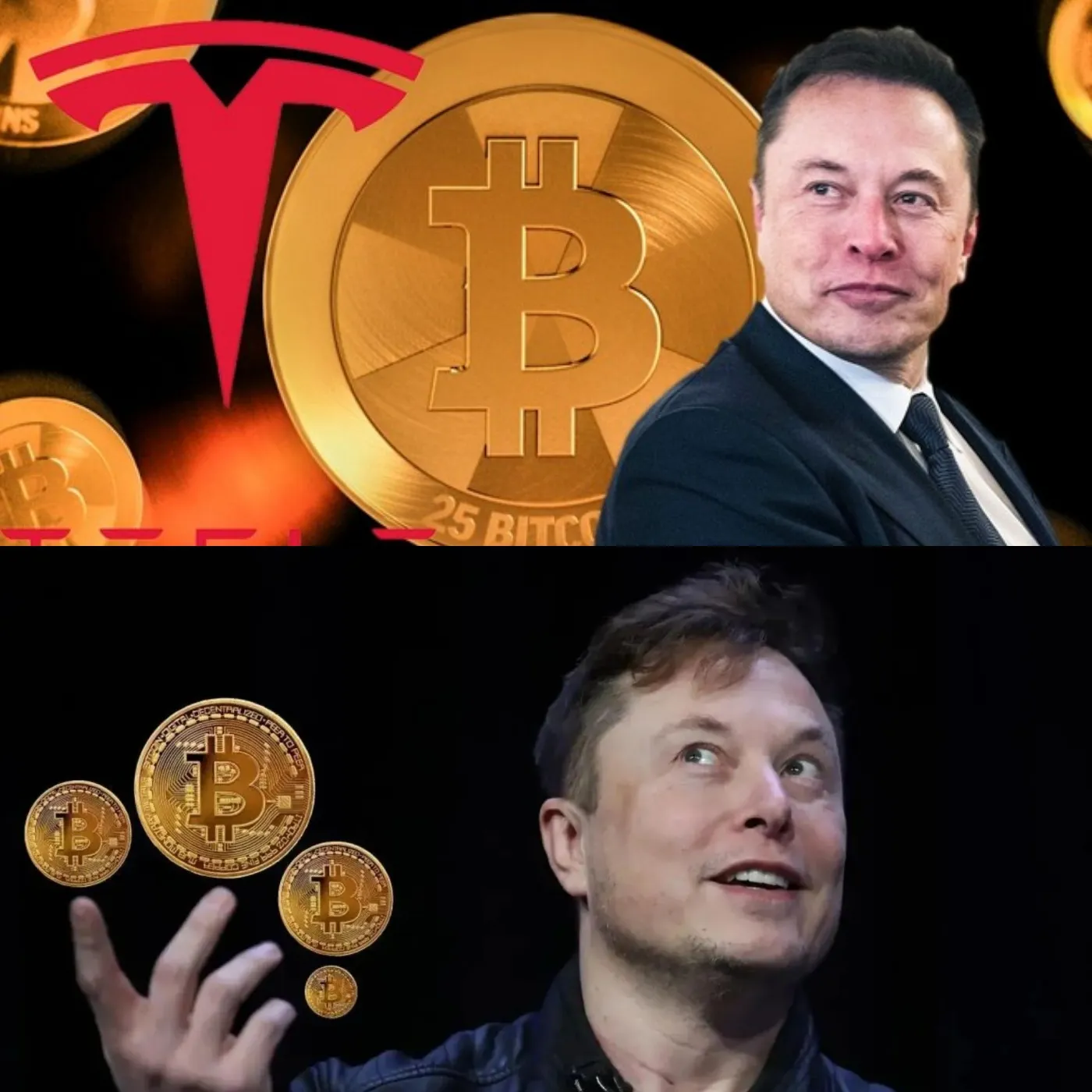 Elon Musk leaked an audio recording about acquiring a Bitcoin company
