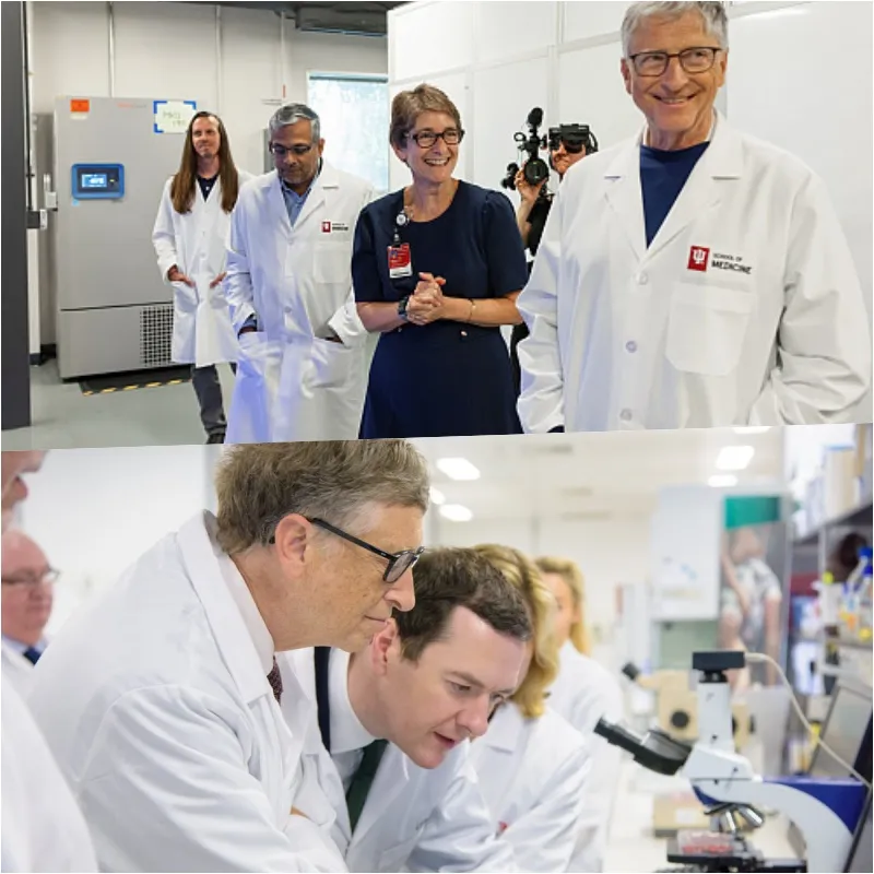 3 Jobs Bill Gates Believes AI Will Not 'Destroy'