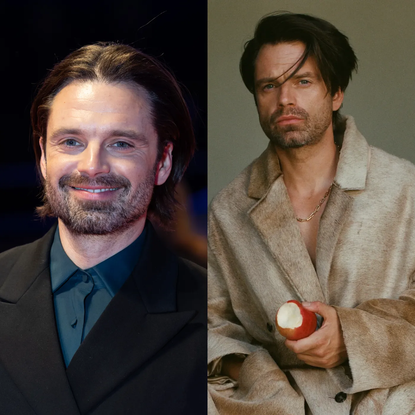 The Shocking Truth Behind Sebastian Stan's Cancellation of His Appearance on "Actors on Actors"