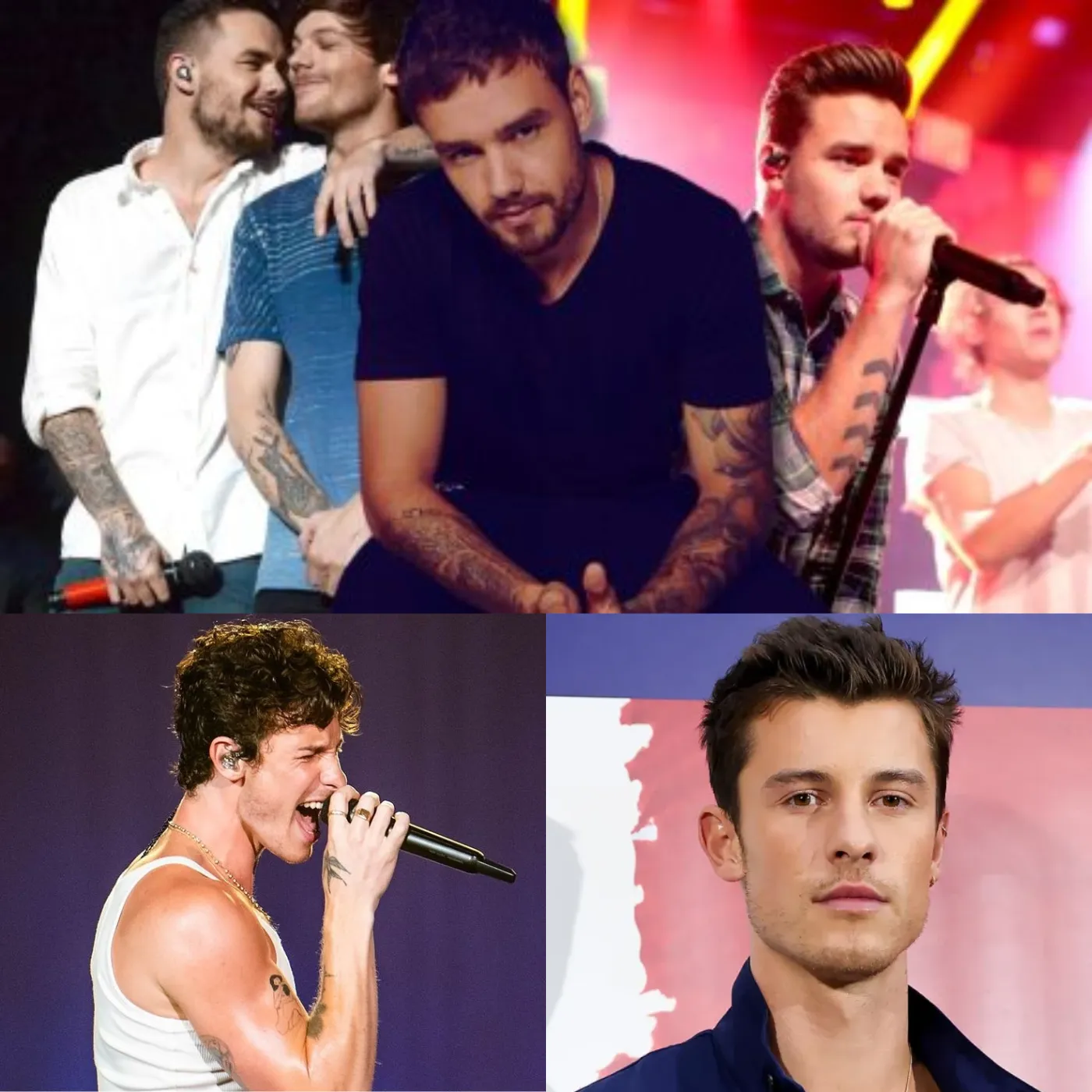 Shawn Mendes and Liam Payne reveal their love story was cut short before tragedy struck