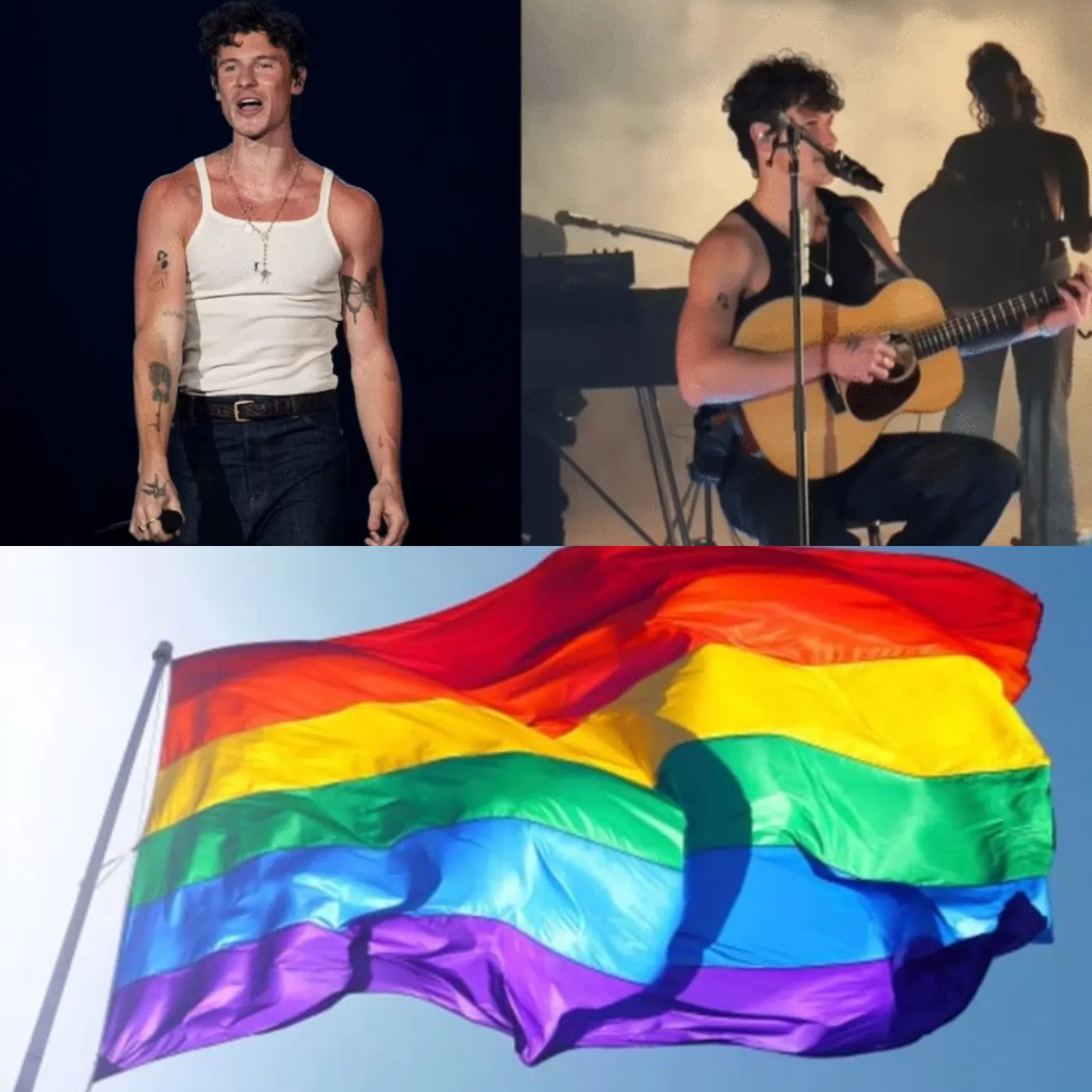 Big surprise: Shawn Mendes caught following gay account