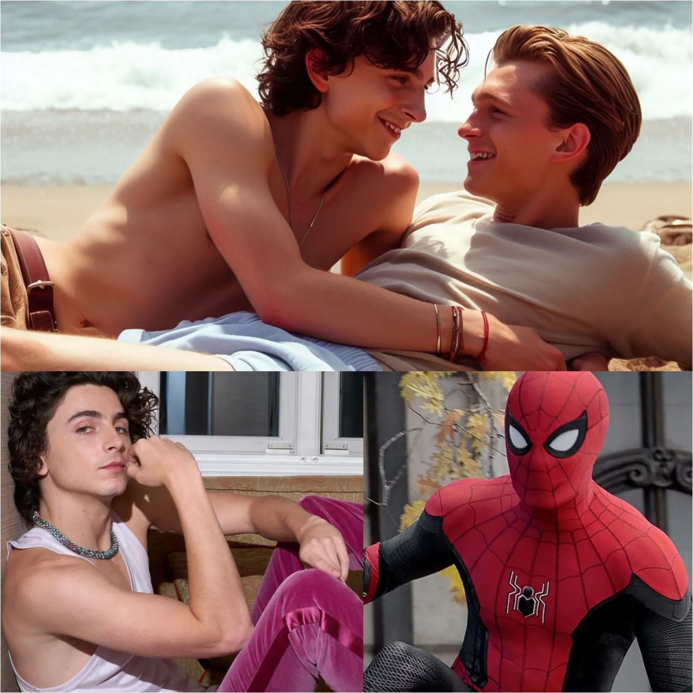 Timothée Chalamet discloses that she and the Spider-Man actor are gay