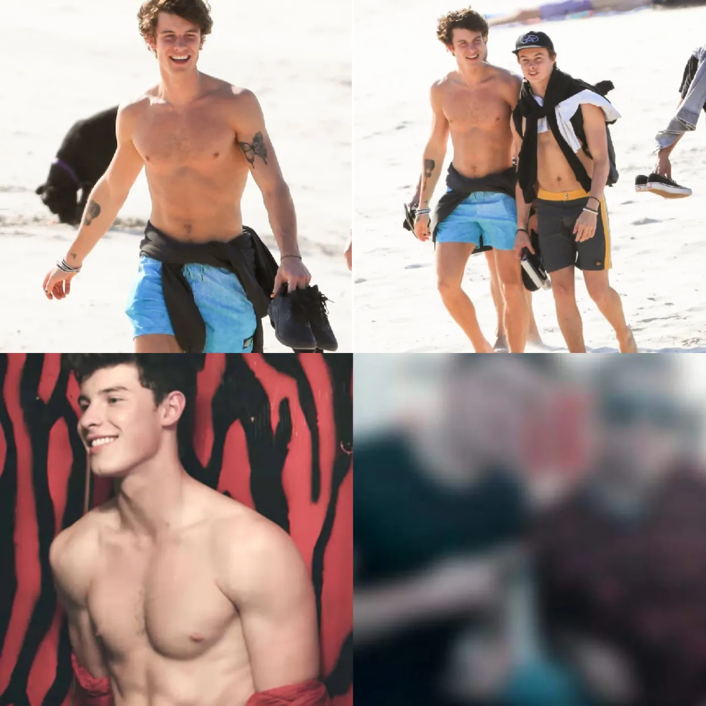 HOT! Shawn Mendes is set to retire and join ONLYFANS