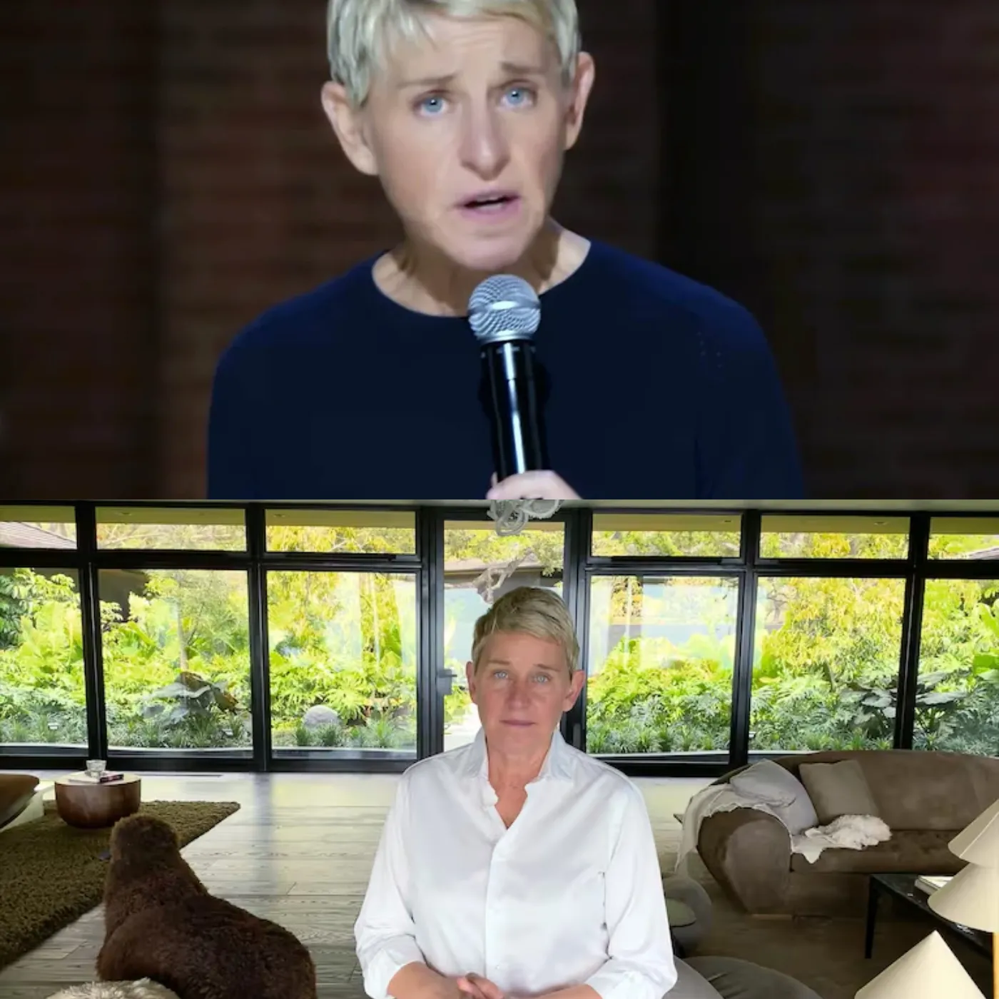 Ellen DeGeneres From Role Model To Scandal Exposed As Media And Fans Call For Her Removal 2 Ellen DeGeneres From Role Model To Scandal Exposed As Media And Fans Call For Her Removal