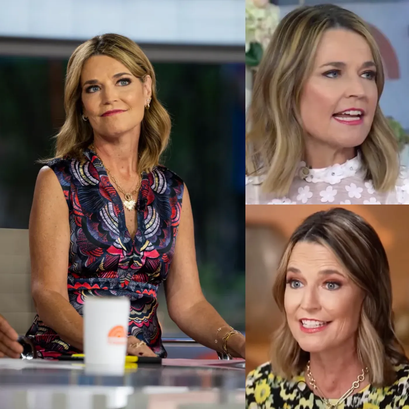 SHOCKING - Richard Gere "Flips" On Savannah Guthrie Live On Air! 3 SHOCKING - Richard Gere "Flips" On Savannah Guthrie Live On Air!