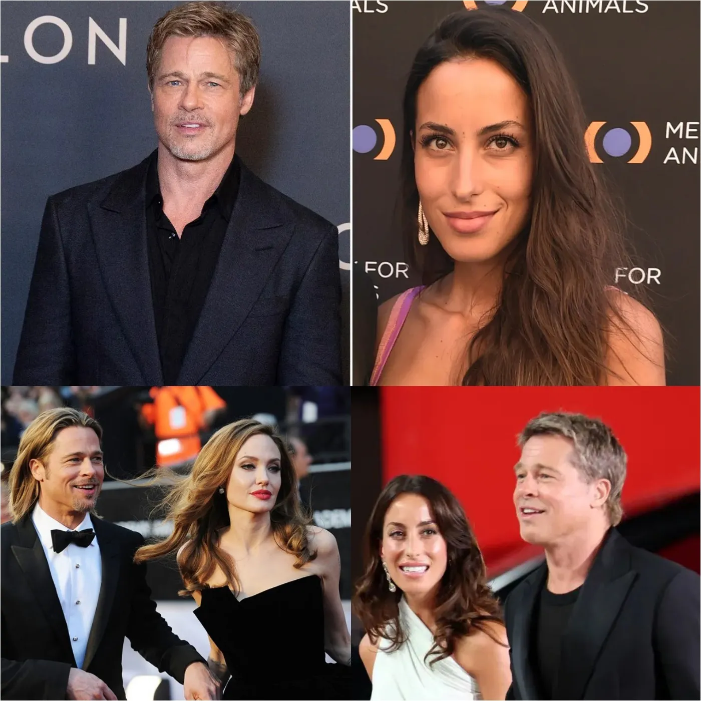 In public, Brad Pitt calls Angelina Jolie a "bad wife" in comparison to Ines de Ramon. 2 In public, Brad Pitt calls Angelina Jolie a "bad wife" in comparison to Ines de Ramon.