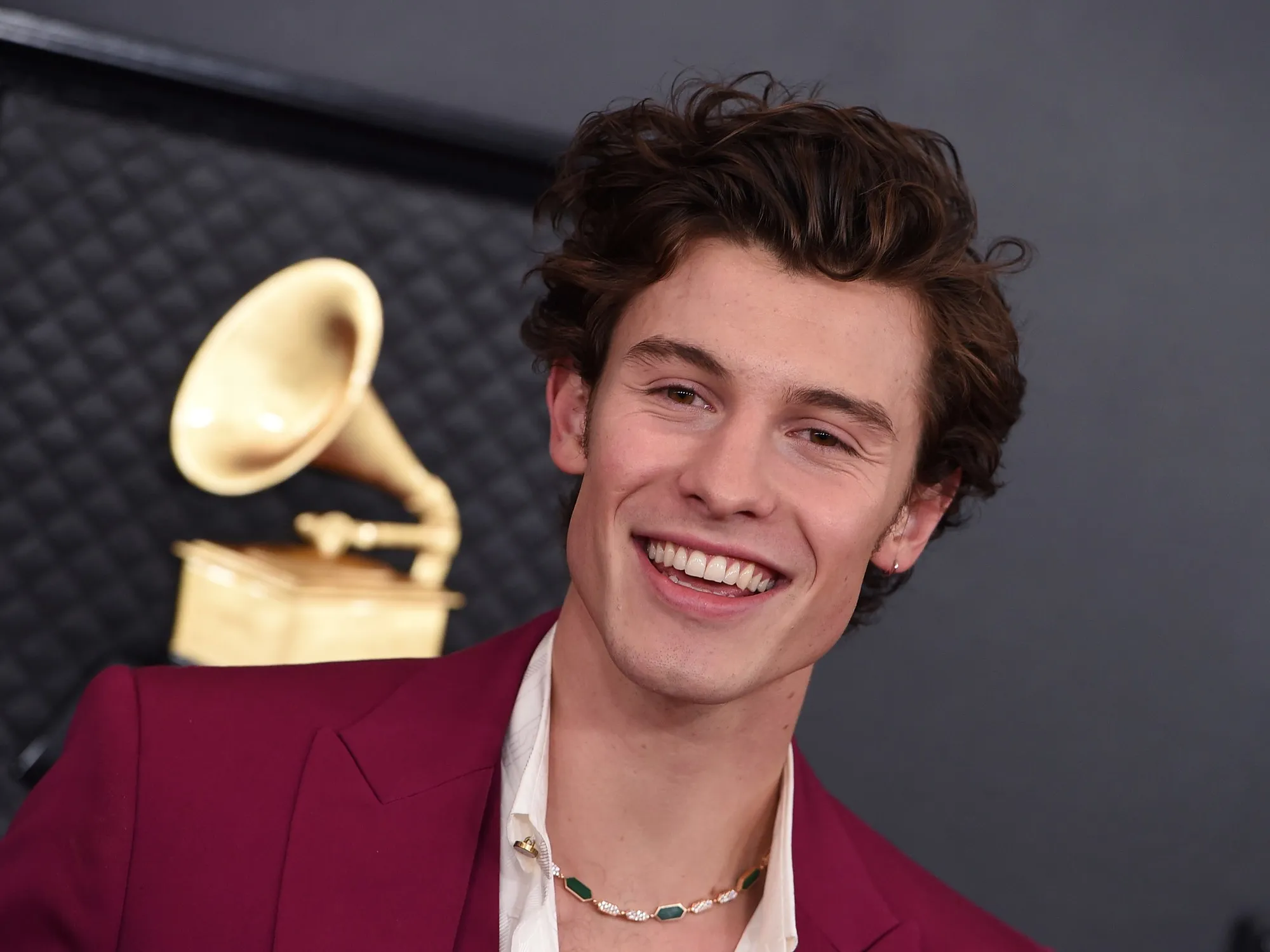 Shawn Mendes was cast in the lead role in the movie Wicked.