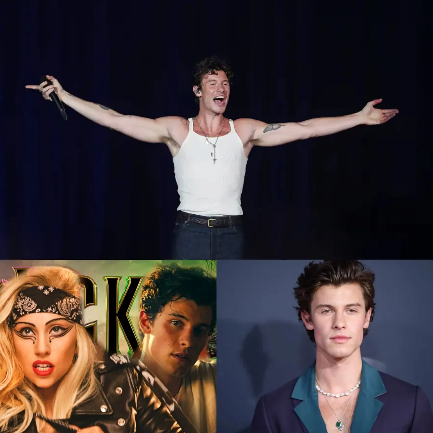 Shawn Mendes was cast in the lead role in the movie Wicked.