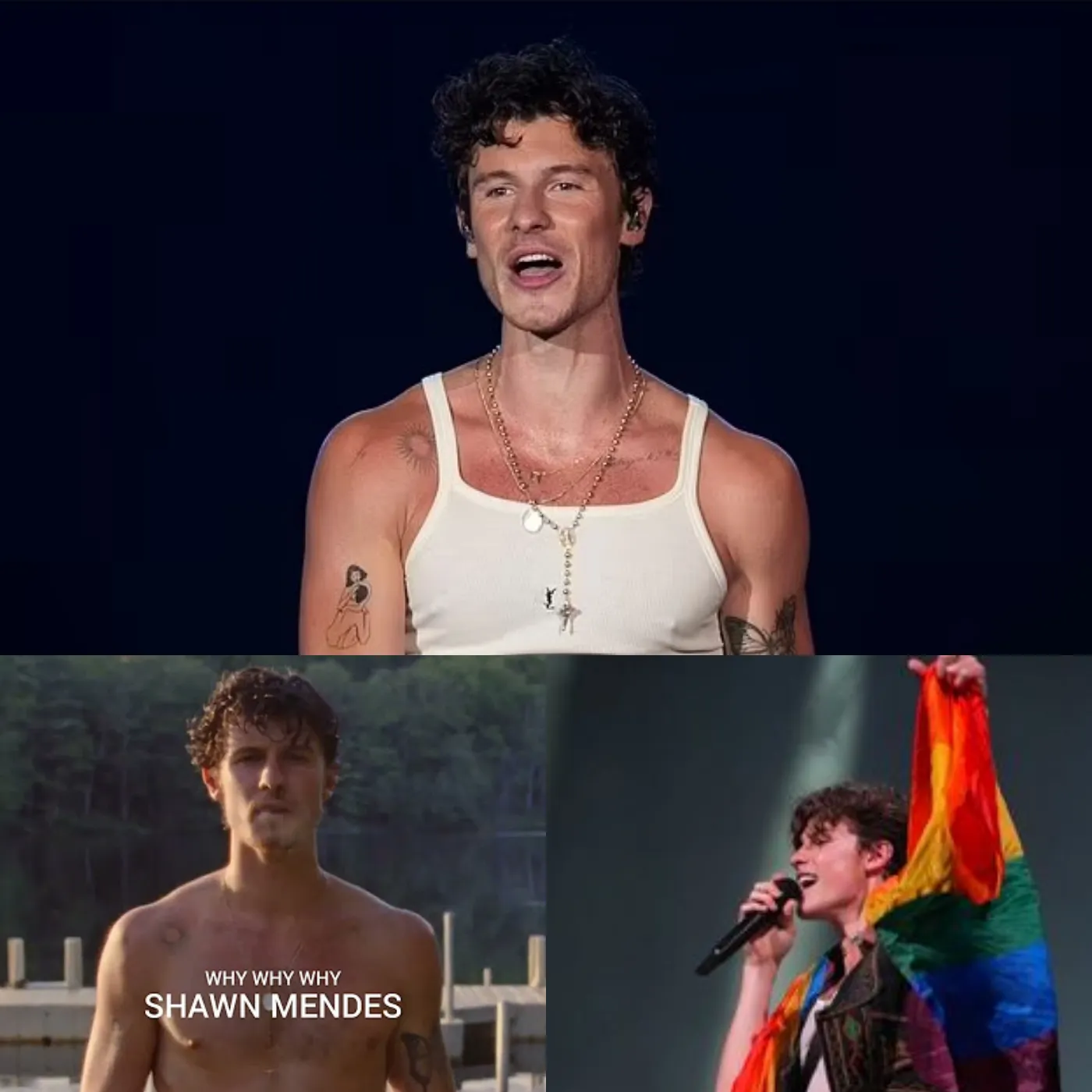 Shawn Mendes Reveals the Truth About ‘Why, Why, Why’: True Love and Sexual Orientation...