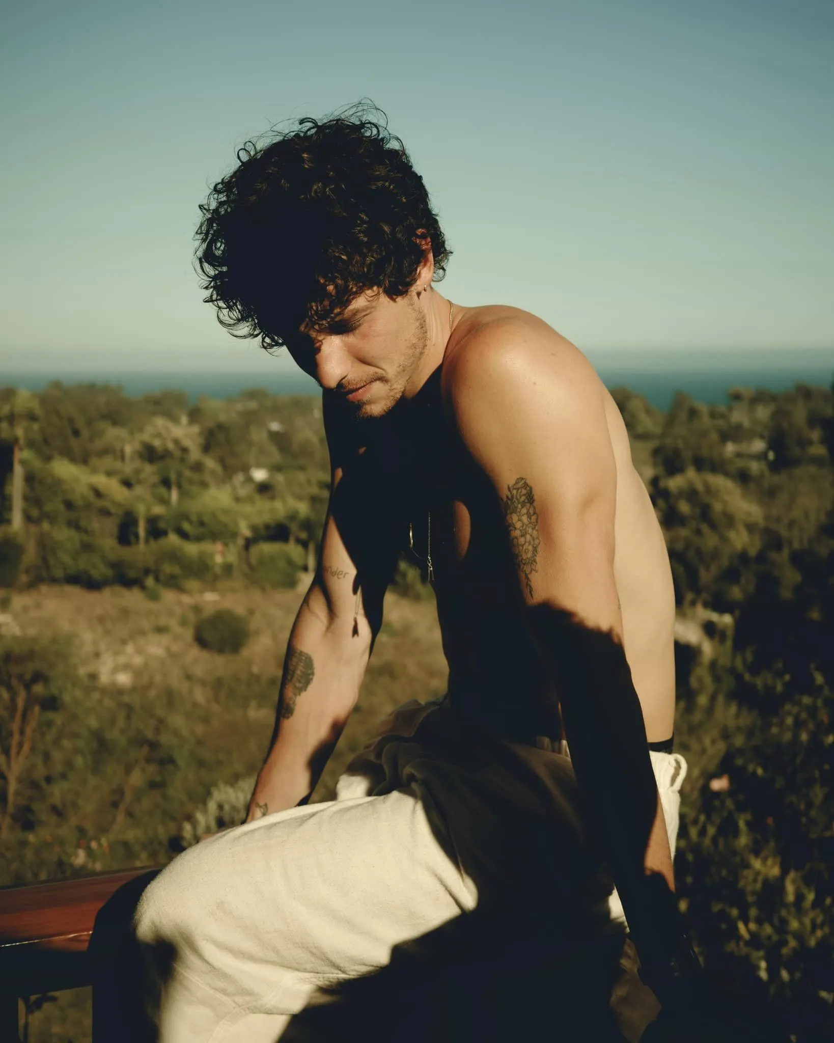 "Shawn Mendes Sues for Privacy Invasion, Stalker Did This..."