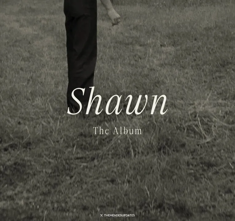 Shawn Mendes' Album Slammed Unmercifully, What Do Fans Have to Say? 3 Shawn Mendes' Album Slammed Unmercifully, What Do Fans Have to Say?