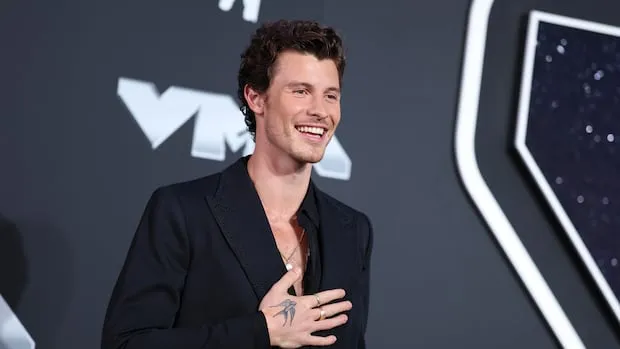 Shawn Mendes was accused of performing activist behavior in his public pronouncements 3 Shawn Mendes reaction: ‘No one should face pressure’ on sexual identity, advocate says