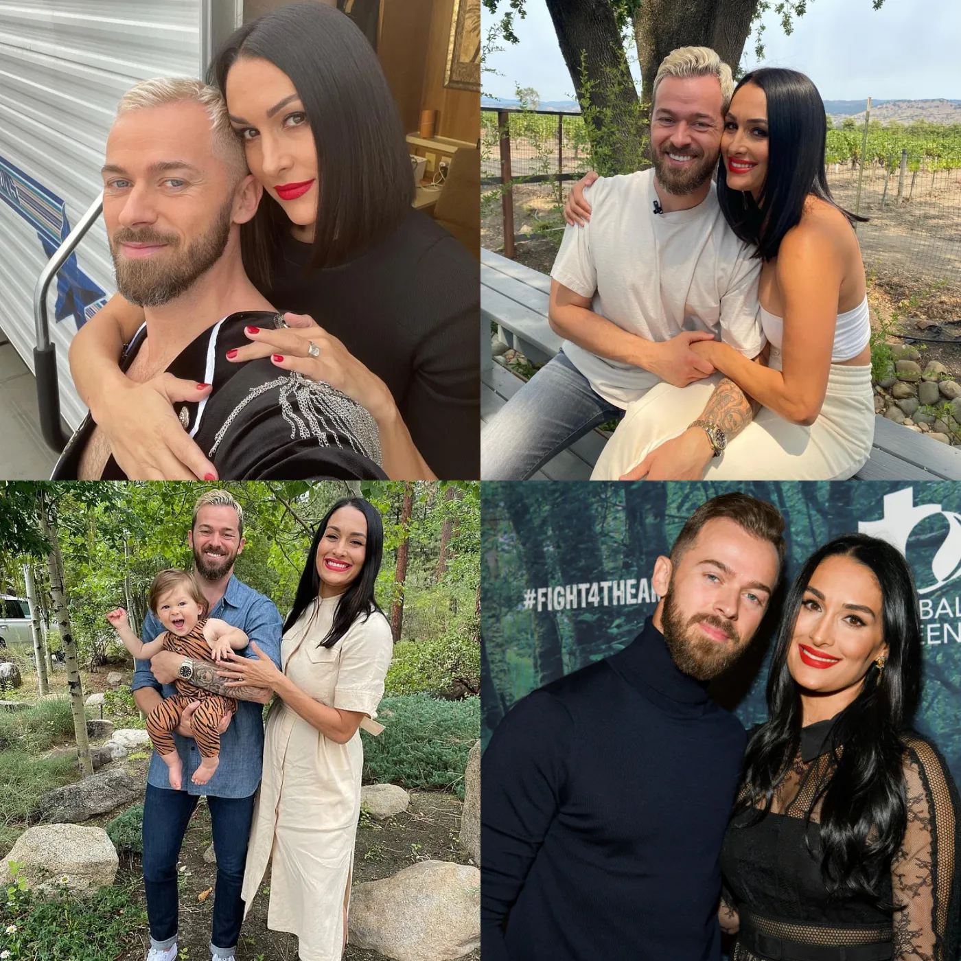 Nikki Garcia and Artem Chigvintsev Settle Divorce Amid Domestic Violence Case