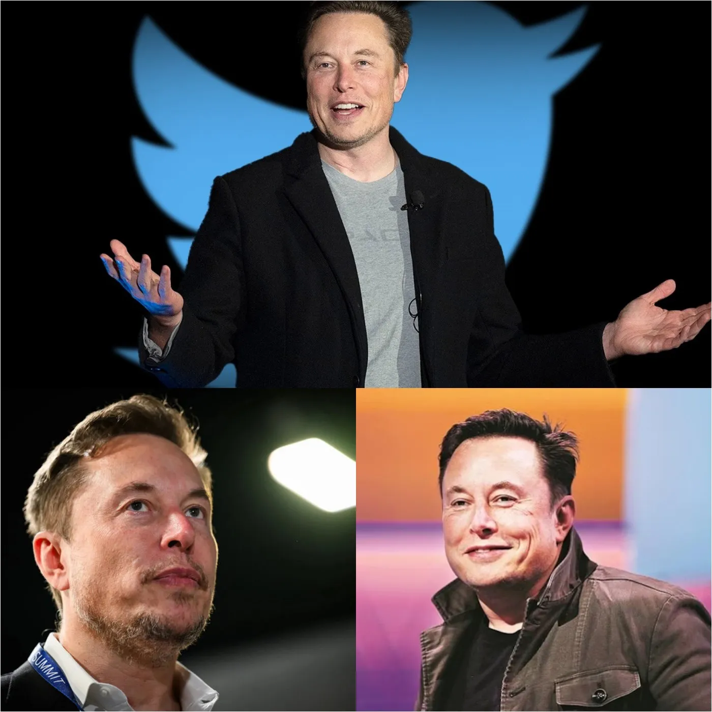 Elon Musk Announces Plans to Combat Waste and Streamline Government 2 Elon Musk Announces Plans to Combat Waste and Streamline Government