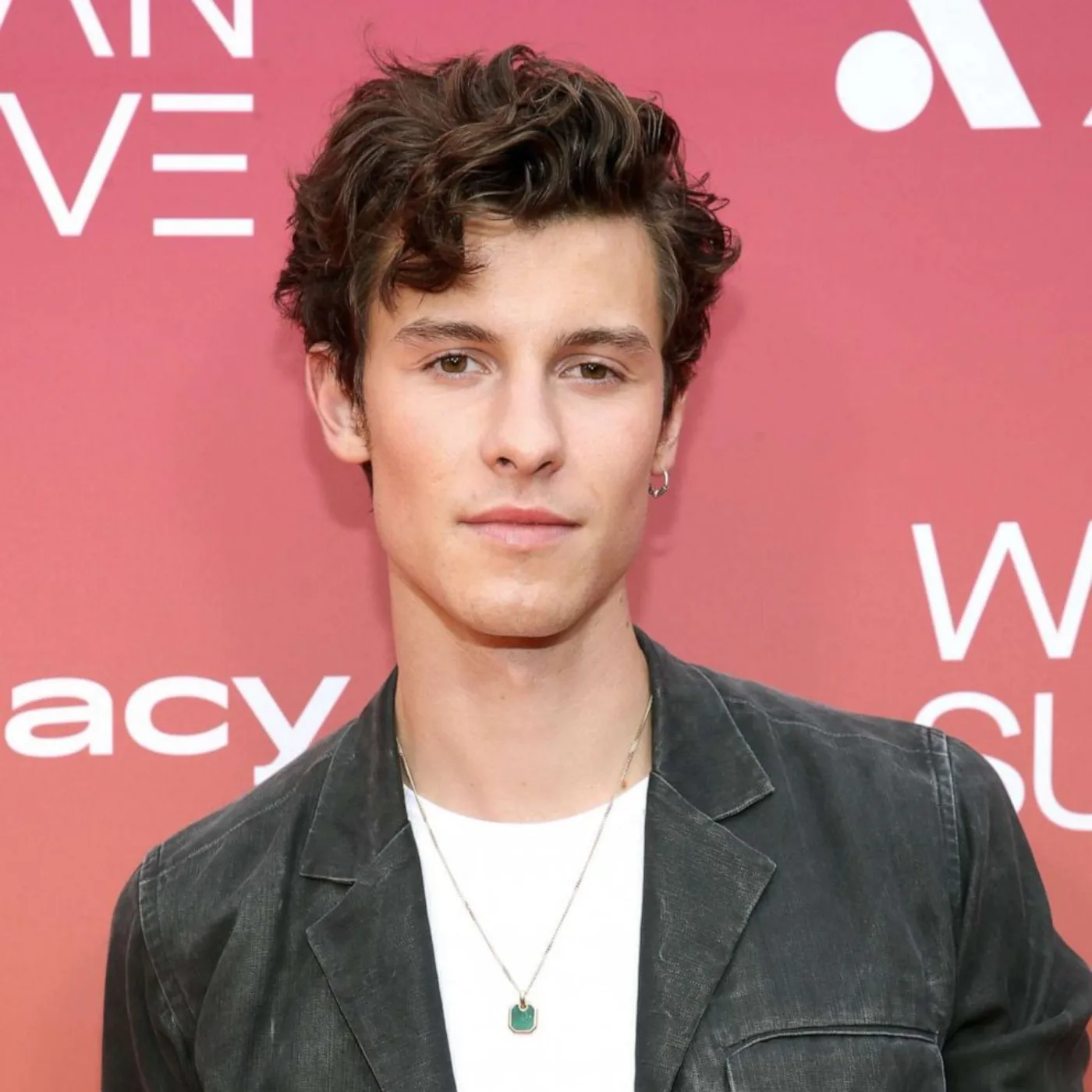 Shawn Mendes Opens Up About Sexuality