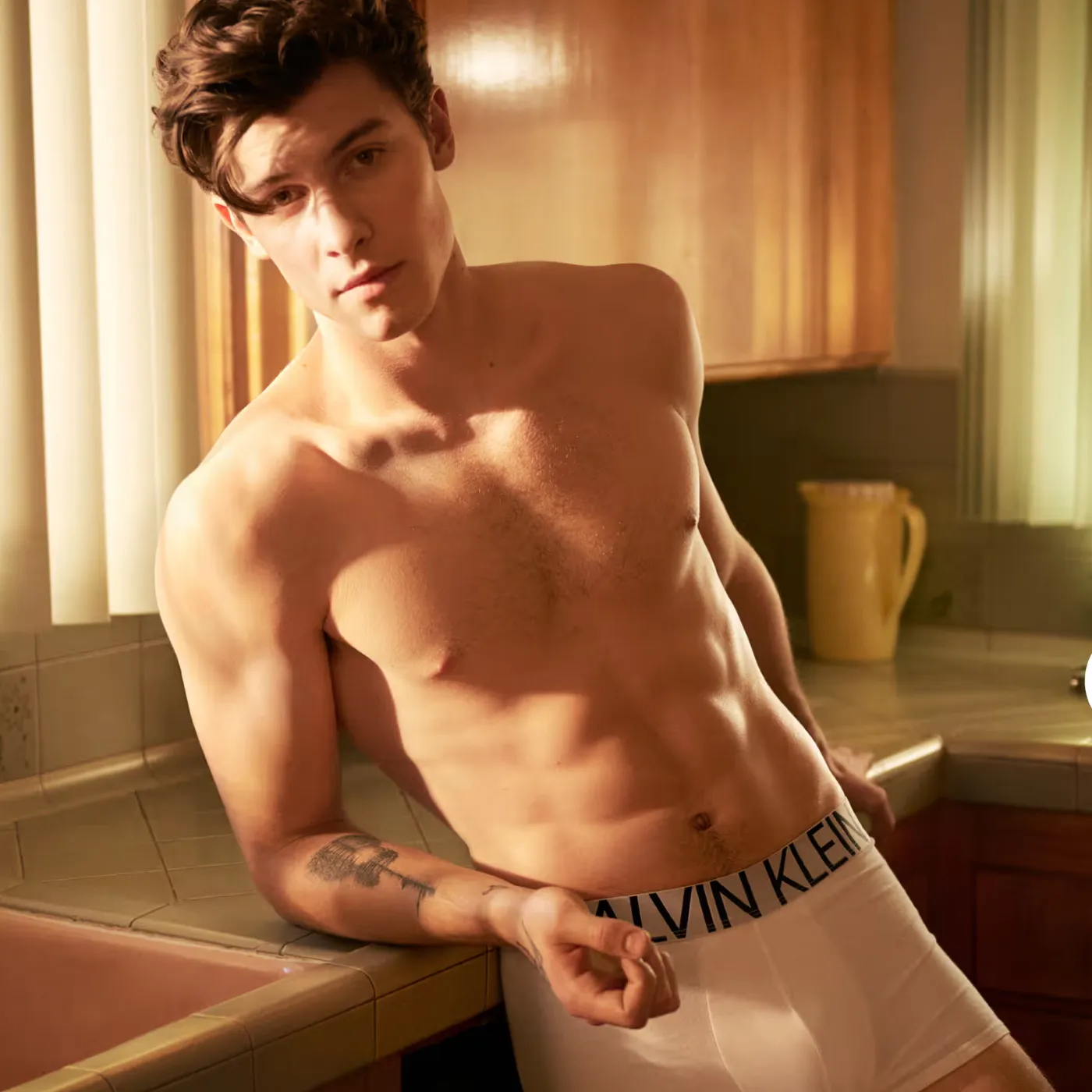 Shawn Mendes Faces Backlash Over “Outdated” Album and Shocking Career Shift 2 Shawn Mendes Faces Backlash Over “Outdated” Album and Shocking Career Shift