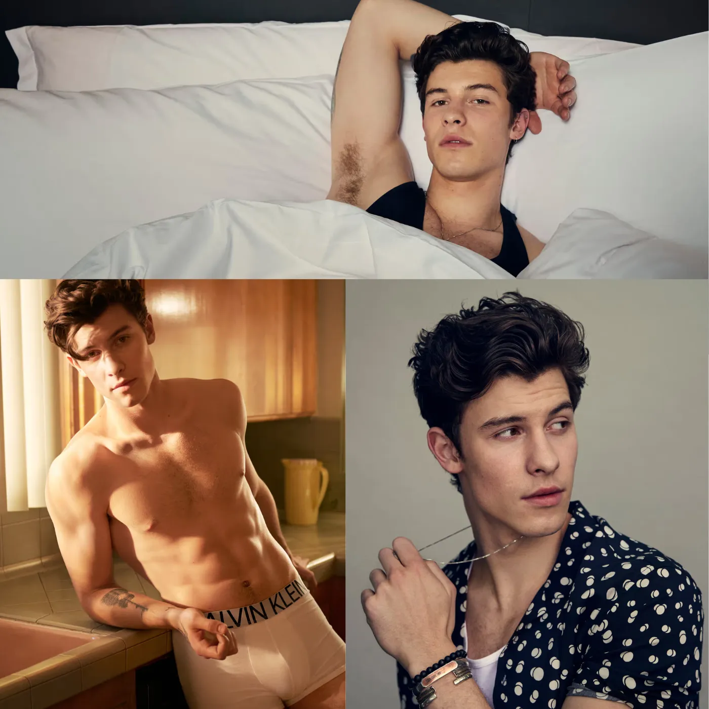 Shawn Mendes’ Shocking Confession: The Secret That Could Destroy His Career