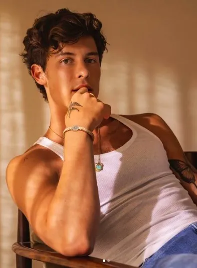 Shawn Mendes Wants to Have a Baby This Year: A Shocking Announcement That’s Buzzing Online!