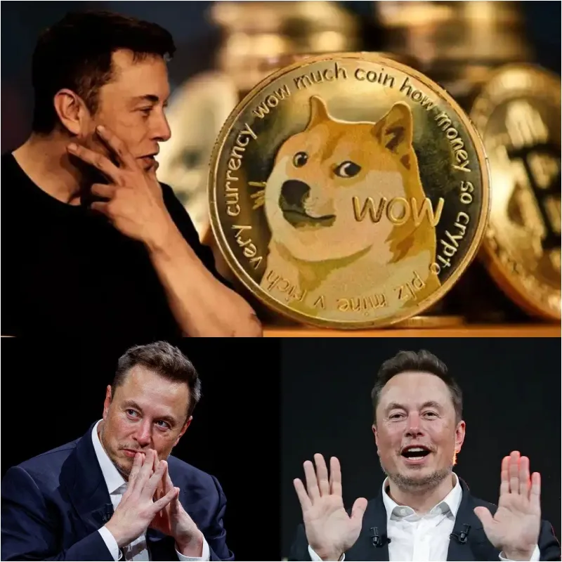 Elon Musk's Dogecoin "Manipulation" Lawsuit Concludes 2 Elon Musk's Dogecoin "Manipulation" Lawsuit Concludes
