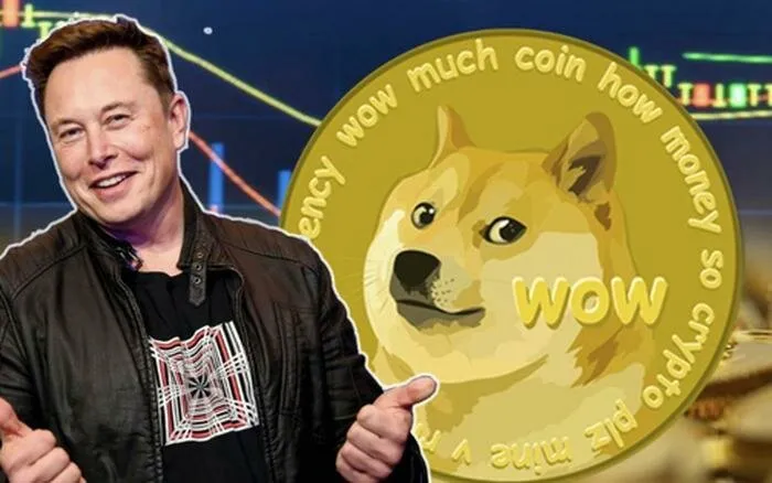 Elon Musk's Dogecoin "Manipulation" Lawsuit Concludes