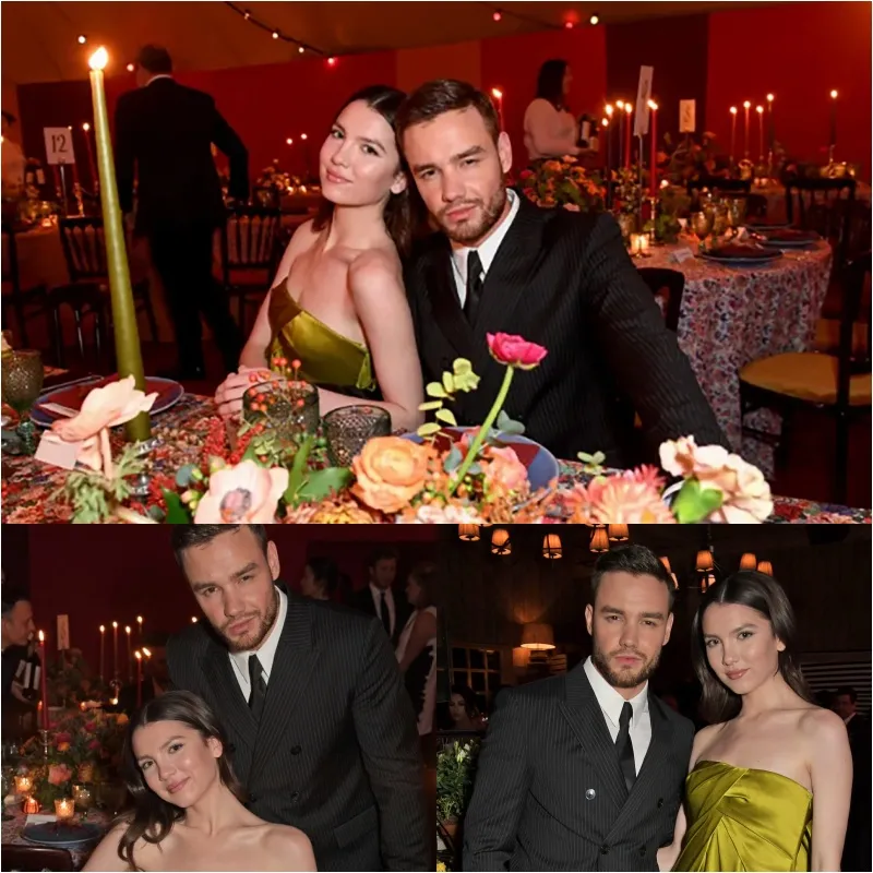 Liam Payne’s Alleged Harassment of Ex-Girlfriend and Her Family