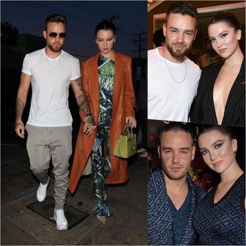 Liam Payne’s Alleged Harassment of Ex-Girlfriend and Her Family