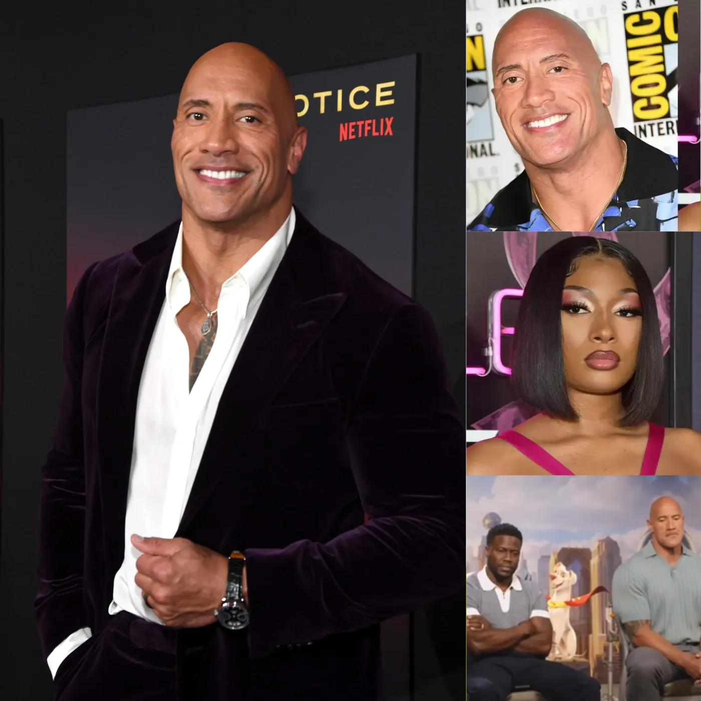 Dwayne 'The Rock' Johnson Wants to Be Megan Thee Stallion’s Pet—Her Response is Hilarious