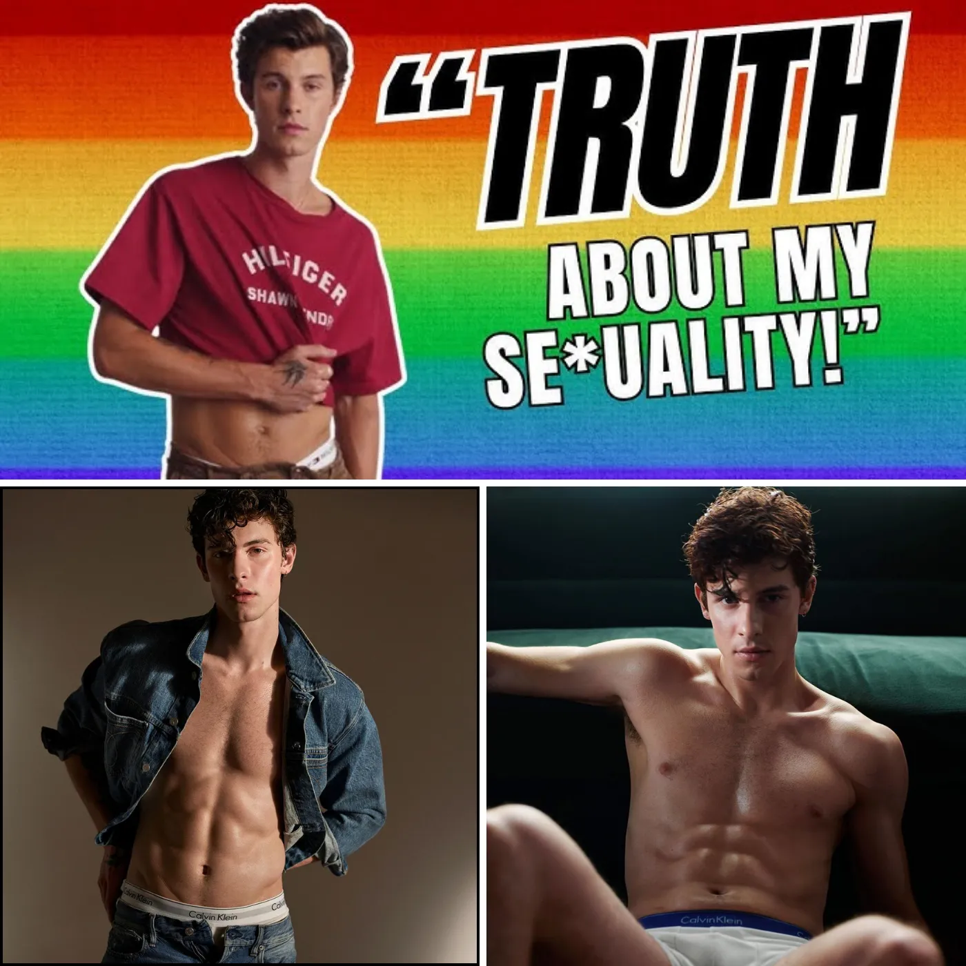 Shawn Mendes Caught Lying About His Sexuality to Stay Relevant?