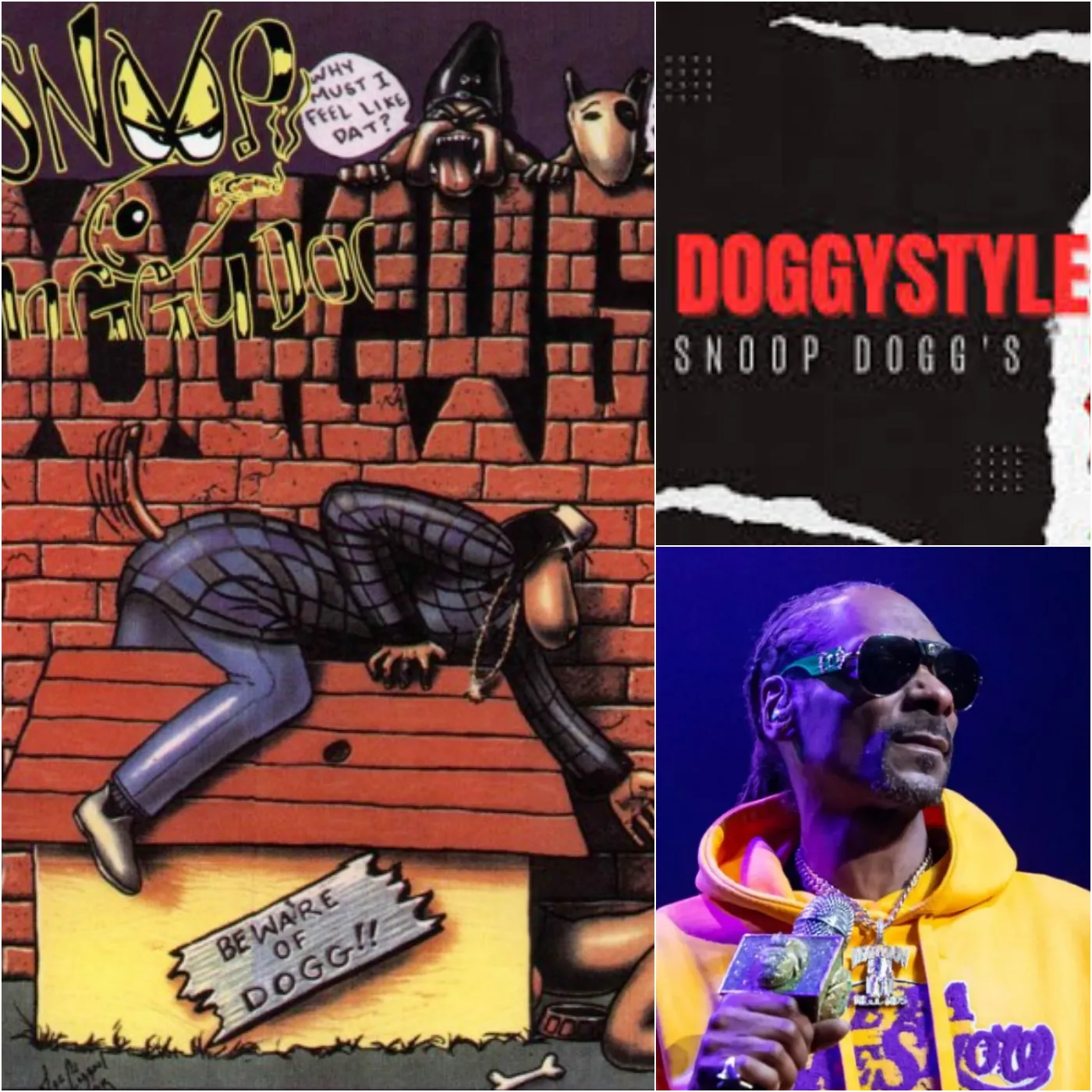 Snoop Dogg's 'Doggystyle' Turns Heads - The Dark Side of the Classic Album