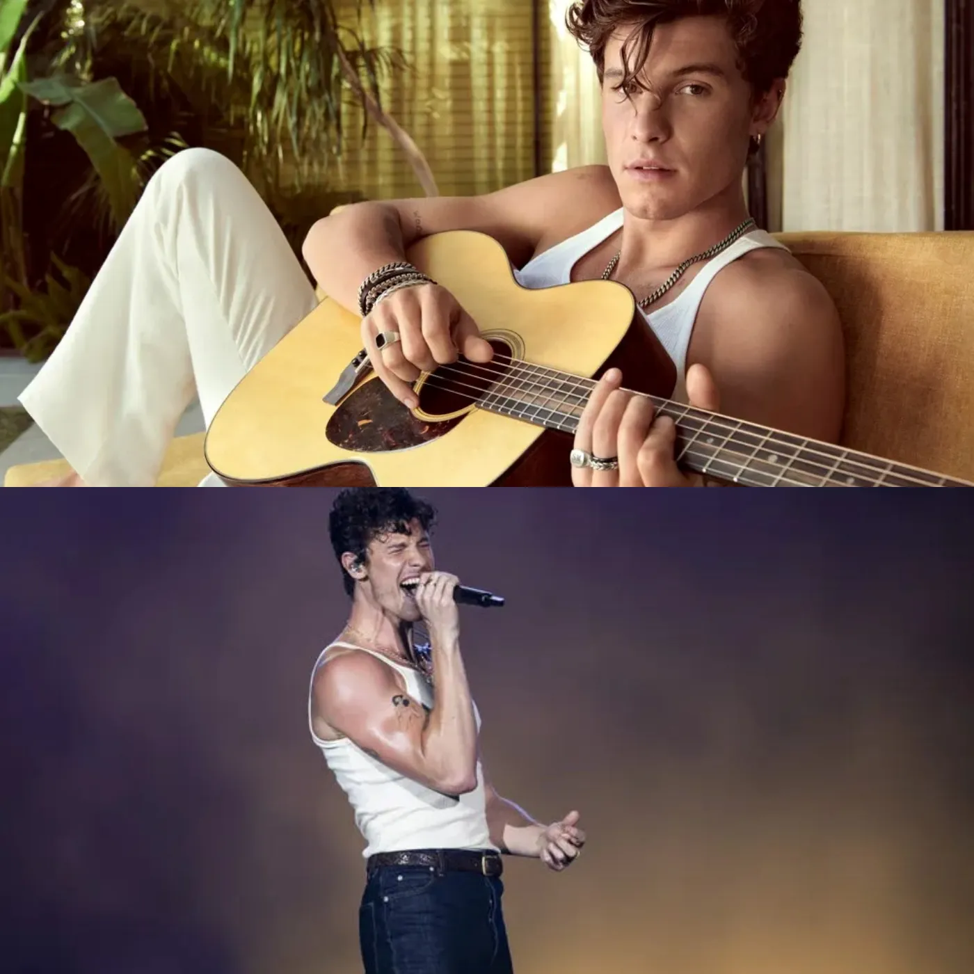 Shawn Mendes' new album fails horribly, selling barely 25,000 copies