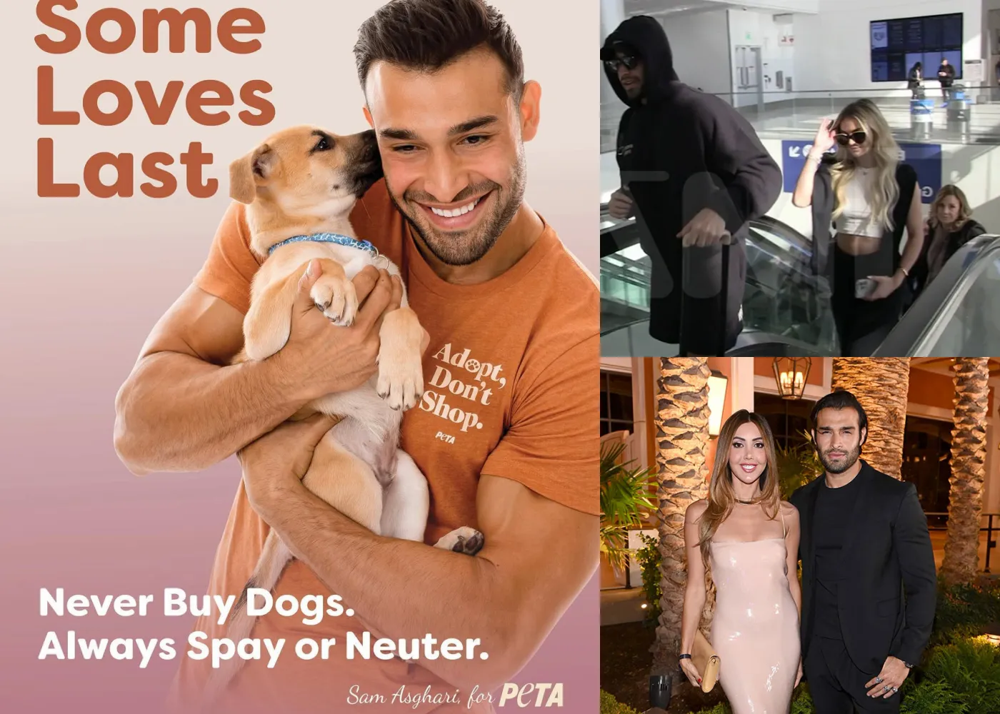 Sam Asghari’s Life a Year After Divorcing Britney Spears