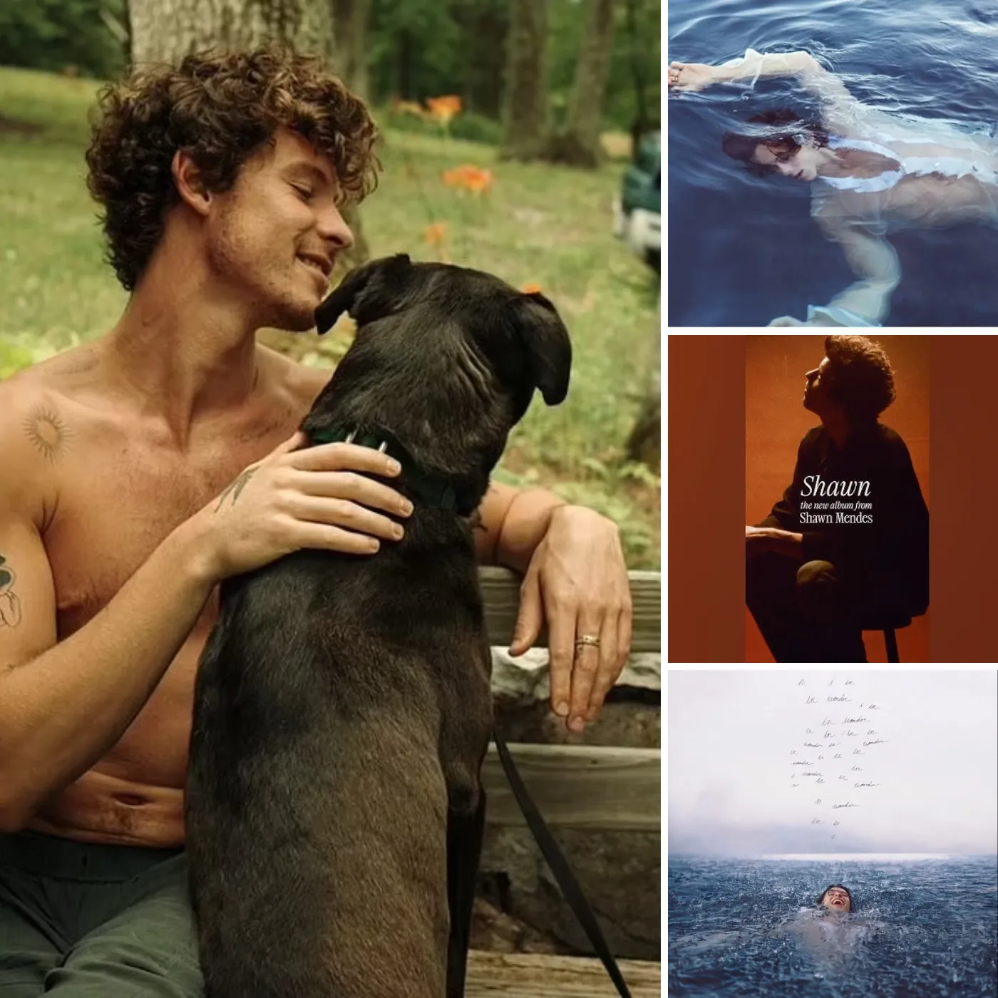 Shawn Mendes Breaks Hearts with His Vulnerable New Album...