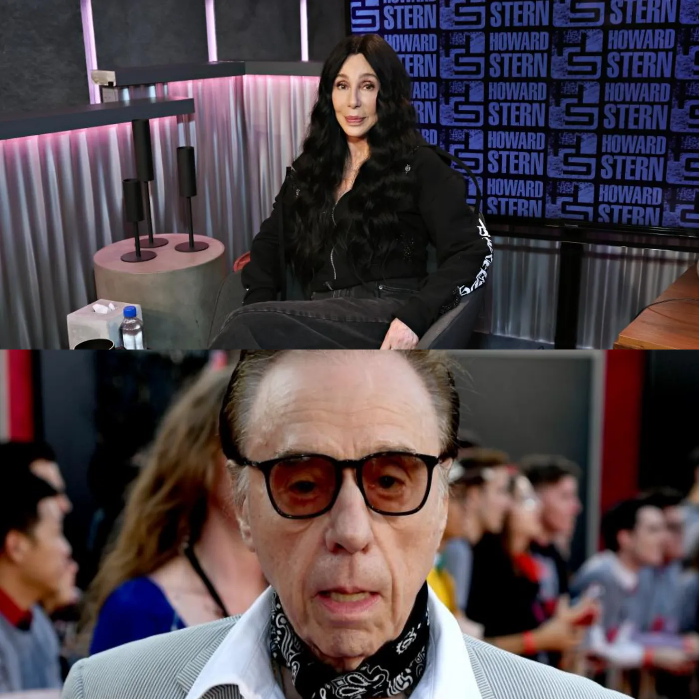 Cher Criticizes Director Peter Bogdanovich After He Called Her the Most Difficult Actress to Work With: "He Was a Pig"